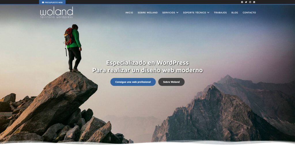 Diseño Web Wordpress Málaga - Woland
